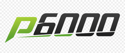 p6000